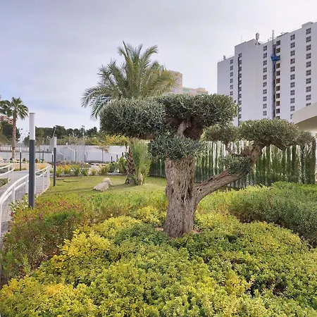 Sunset Waves Sunny Aparts Apartament Benidorm